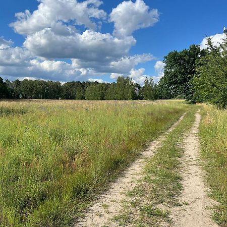 Top-Ferienwohnung Bei Berlin, Bis 3 Gaeste, Terrasse Und Garten Bestensee المظهر الخارجي الصورة